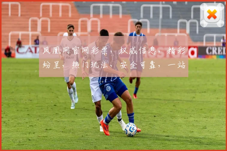 凤凰网官网彩票，权威信息，精彩纷呈，热门玩法，安全可靠，一站搞定，尽享快乐