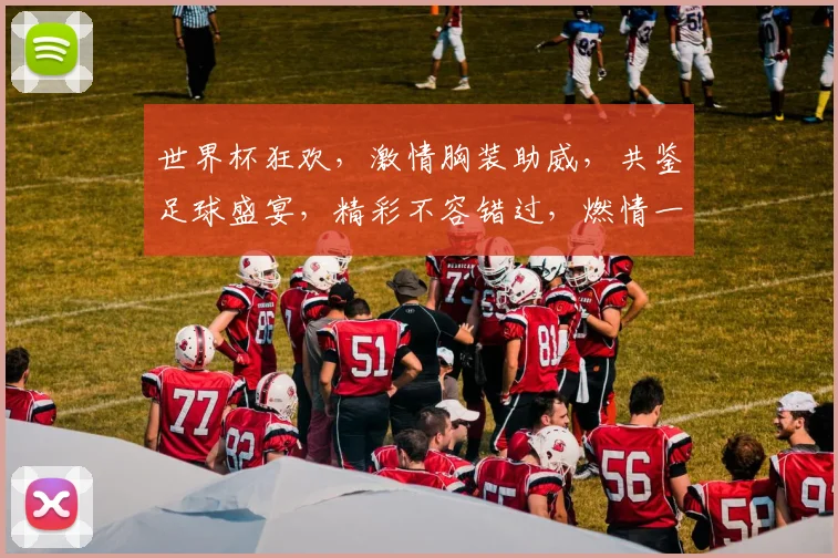 世界杯狂欢，激情胸装助威，共鉴足球盛宴，精彩不容错过，燃情一夏
