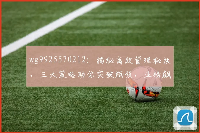 wg9925570212：揭秘高效管理秘诀，三大策略助你突破瓶颈，业绩飙升