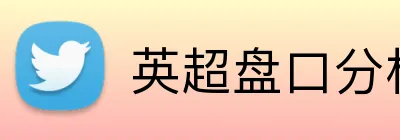 英超盘口分析正规网站 logo
